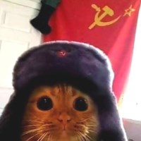 Ảnh đại diện huyphan