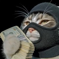 Nguyễn Nhật Linh Avatar