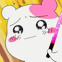 Lê Hoàng Việt avatar