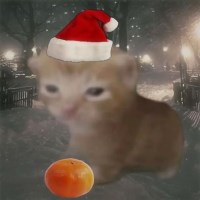 dung avatar
