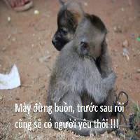 Thái Thanh Thiên avatar