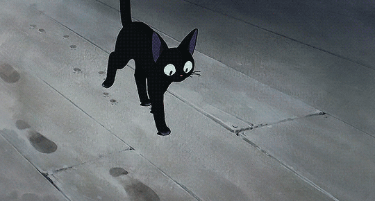 trần nguyễn tri thiên Avatar