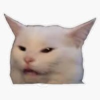 Phạm Trí Vỹ avatar