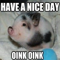 Ảnh đại diện Bill Ngô