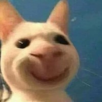 Ảnh đại diện Rickroll