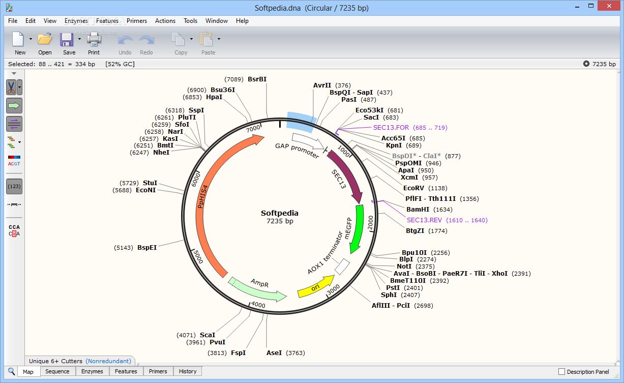 SnapGene