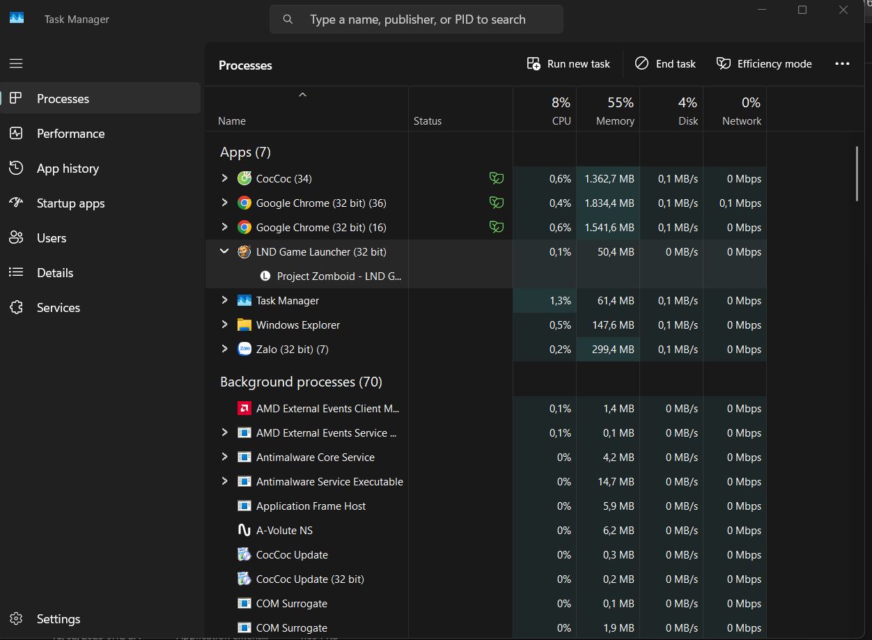 Không vào được game Project Zomboid