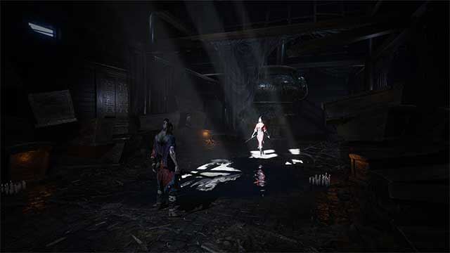 Echoes of Yi : Samsara