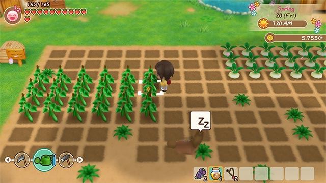 STORY OF SEASONS: Friends of Mineral Town