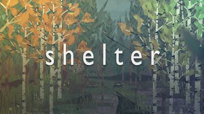 Shelter