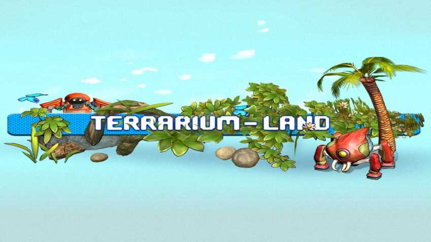 Terrarium Land cover