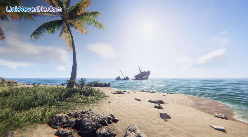 Hình ảnh trong game Project Castaway (screenshot)