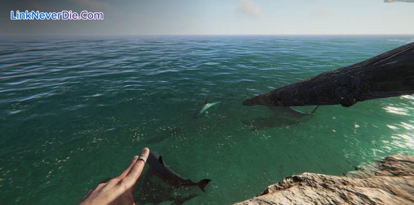 Hình ảnh trong game Project Castaway (screenshot)