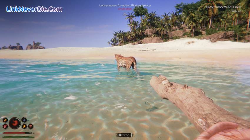 Hình ảnh trong game Project Castaway (screenshot)