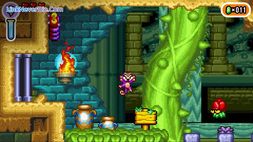 Hình ảnh trong game Shantae Advance: Risky Revolution (screenshot)