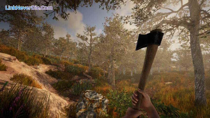 Hình ảnh trong game Rising World (screenshot)