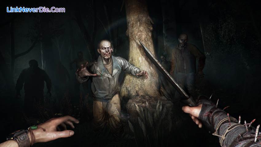 Hình ảnh trong game Dying Light: The Beast (screenshot)