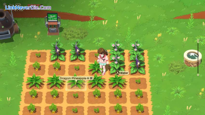 Hình ảnh trong game Harvest Moon: Home Sweet Home Special Edition (screenshot)