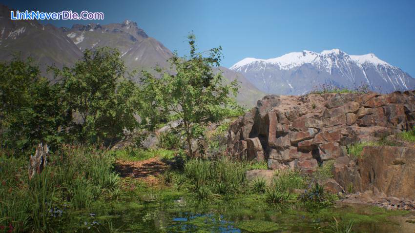 Hình ảnh trong game Stone Simulator – Just Be a Rock (screenshot)