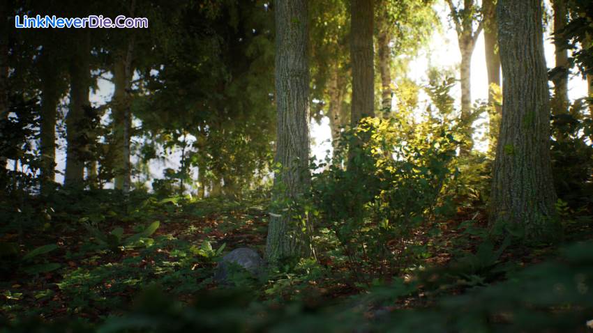 Hình ảnh trong game Stone Simulator – Just Be a Rock (screenshot)