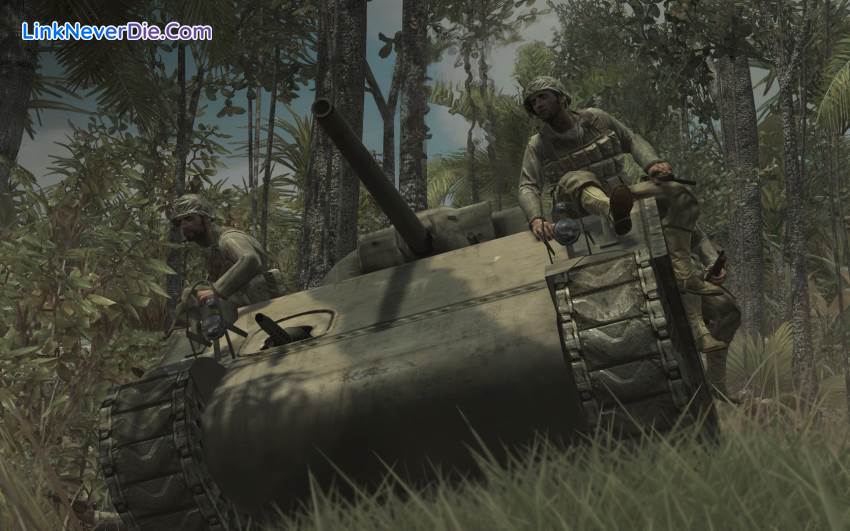 Hình ảnh trong game Call of Duty: World at War (screenshot)