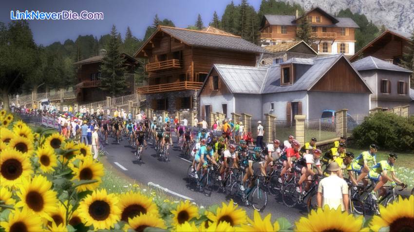 Hình ảnh trong game Pro Cycling Manager 2015 (screenshot)