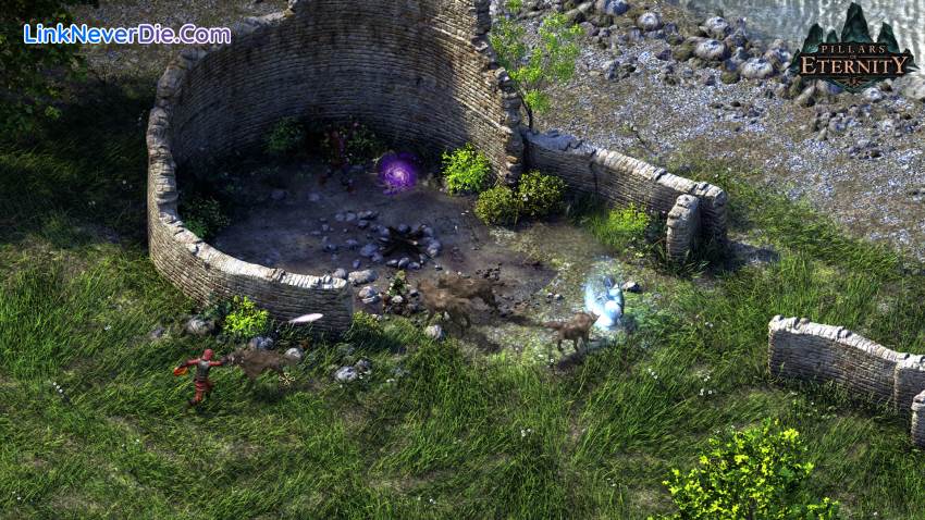 Hình ảnh trong game Pillars of Eternity Royal Edition (screenshot)