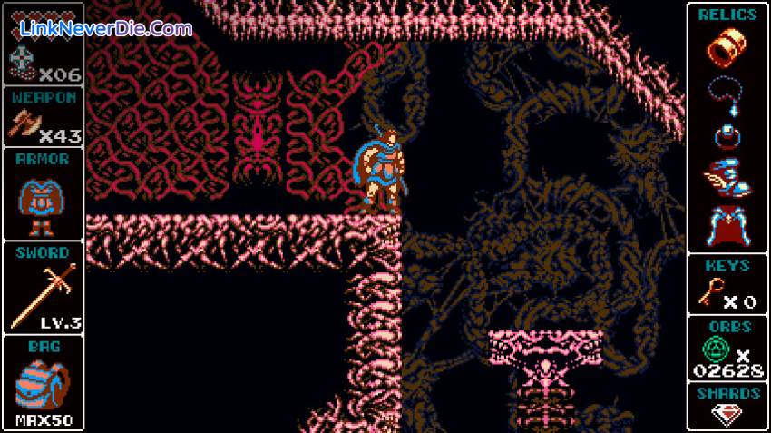 Hình ảnh trong game Odallus: The Dark Call (screenshot)