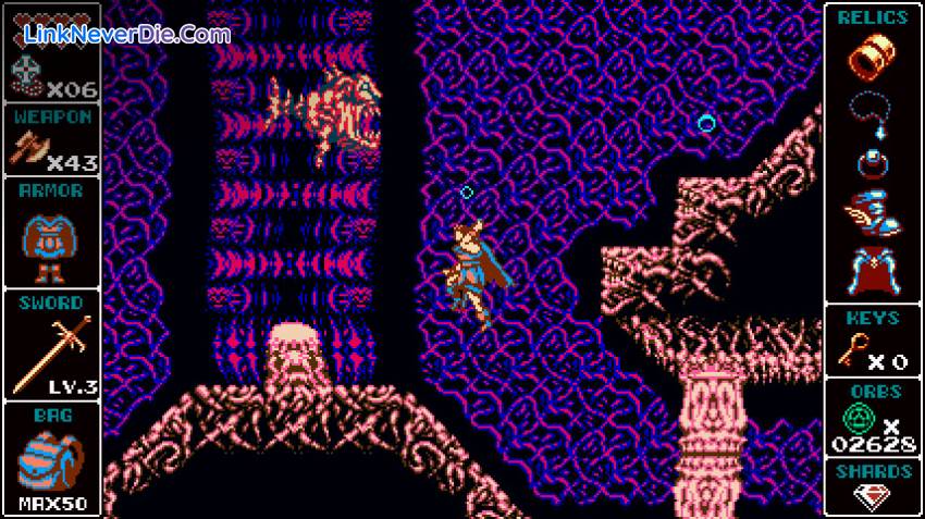 Hình ảnh trong game Odallus: The Dark Call (screenshot)