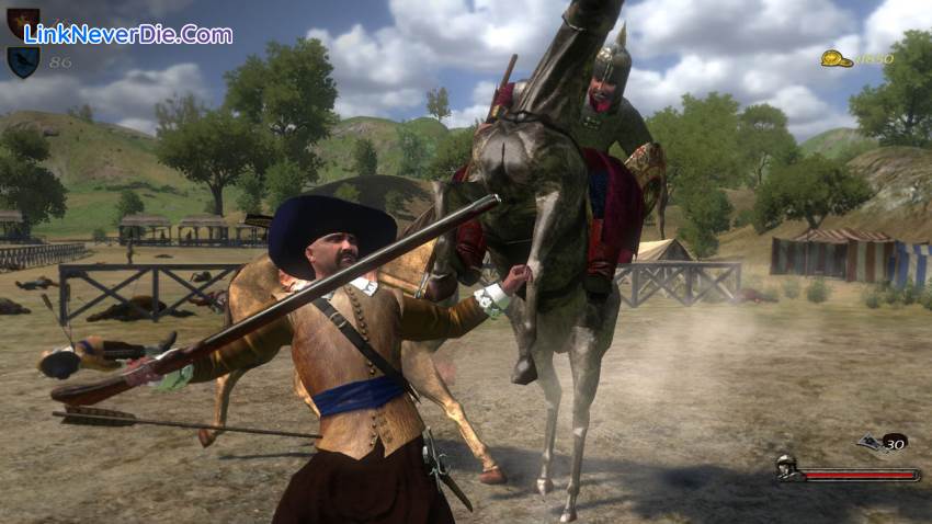 Hình ảnh trong game Mount & Blade: With Fire & Sword (screenshot)