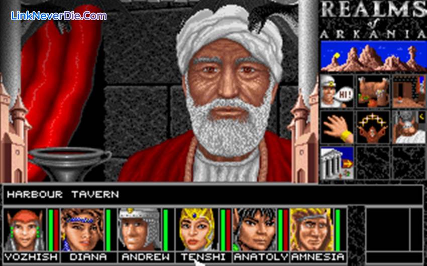 Hình ảnh trong game Realms of Arkania : Blade of Destiny Classic (screenshot)