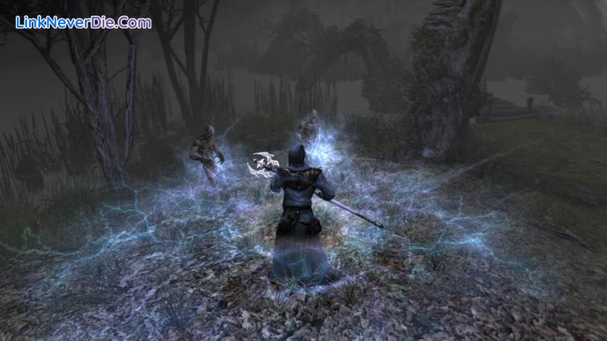 Hình ảnh trong game Two Worlds 2 Epic Edition (screenshot)