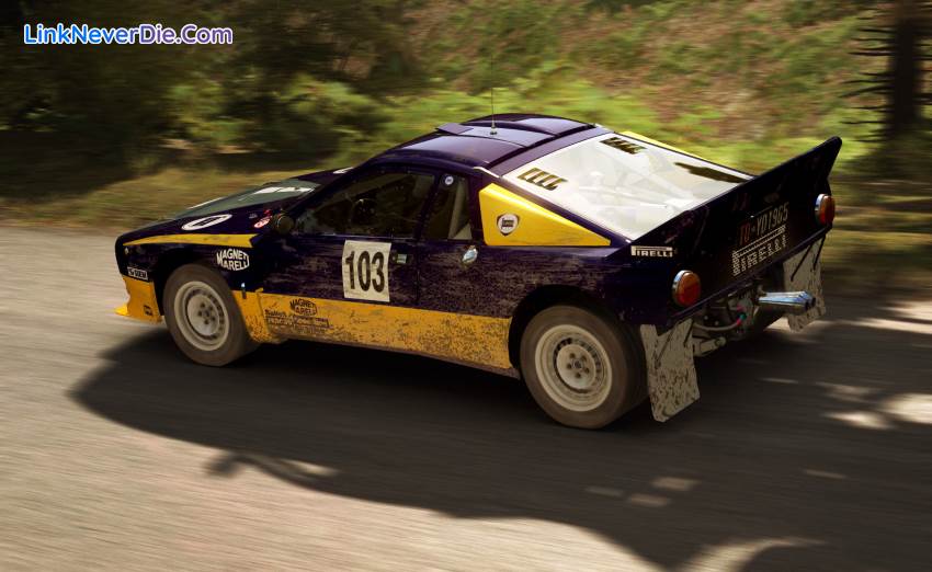 Hình ảnh trong game DiRT Rally (screenshot)