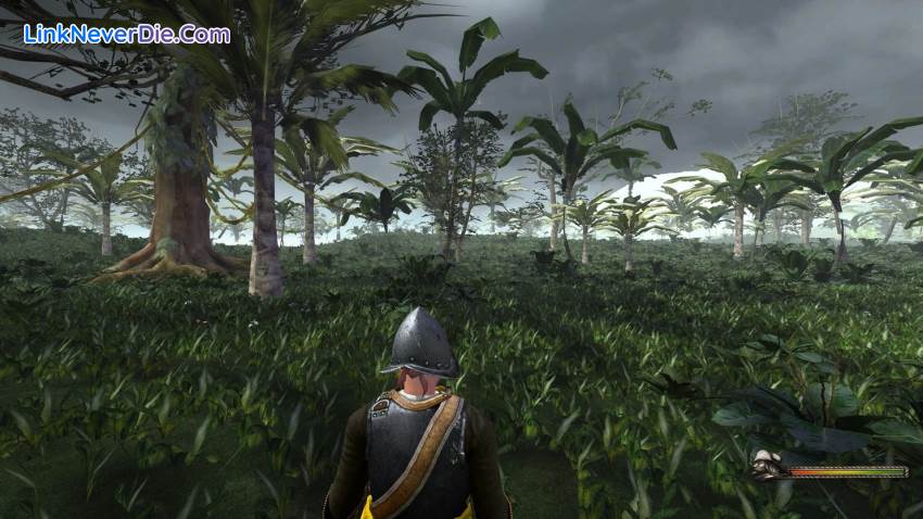 Hình ảnh trong game Blood and Gold: Caribbean! (screenshot)