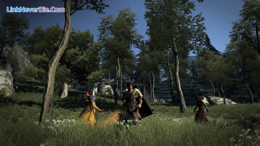 Hình ảnh trong game Dragon's Dogma: Dark Arisen (screenshot)