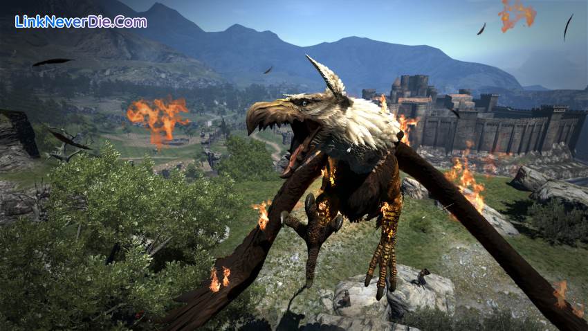 Hình ảnh trong game Dragon's Dogma: Dark Arisen (screenshot)