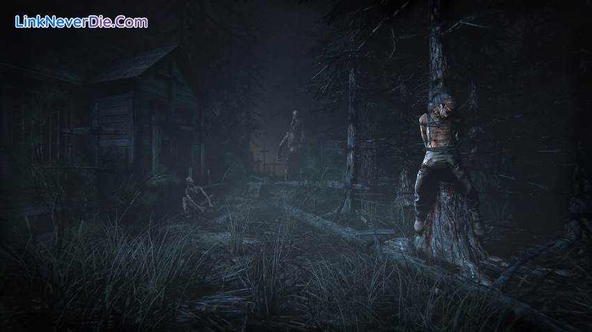 Hình ảnh trong game Outlast 2 (screenshot)