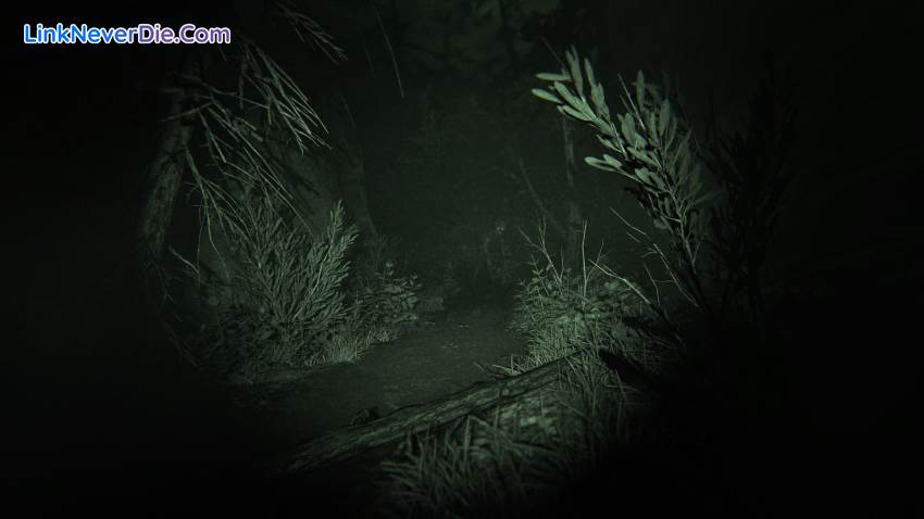 Hình ảnh trong game Outlast 2 (screenshot)