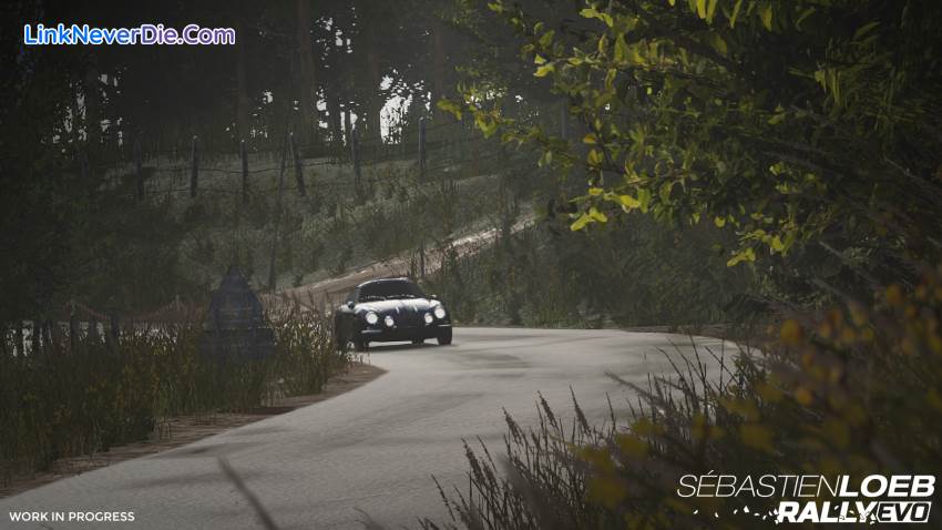 Hình ảnh trong game Sébastien Loeb Rally EVO (screenshot)