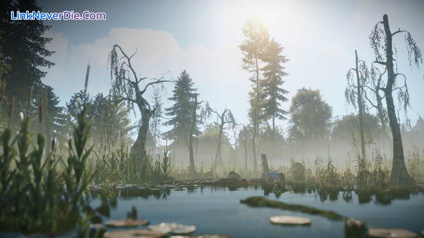 Hình ảnh trong game Rust (screenshot)