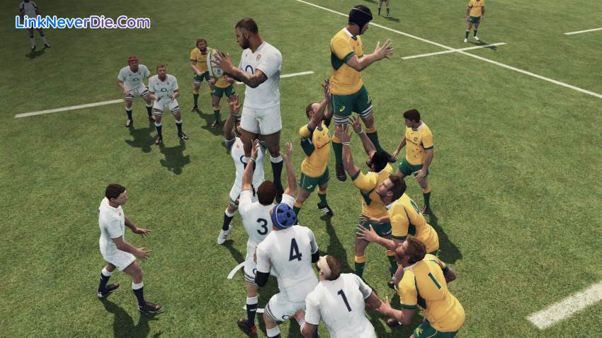 Hình ảnh trong game Rugby Challenge 3 (screenshot)