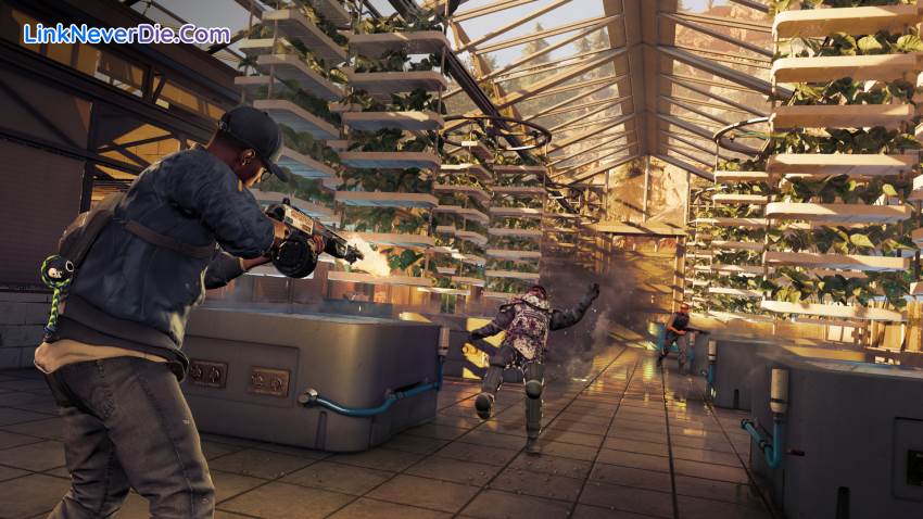 Hình ảnh trong game Watch Dogs 2 (screenshot)