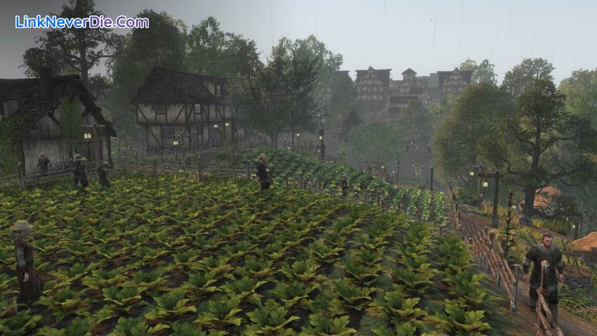 Hình ảnh trong game Life is Feudal: Forest Village (screenshot)