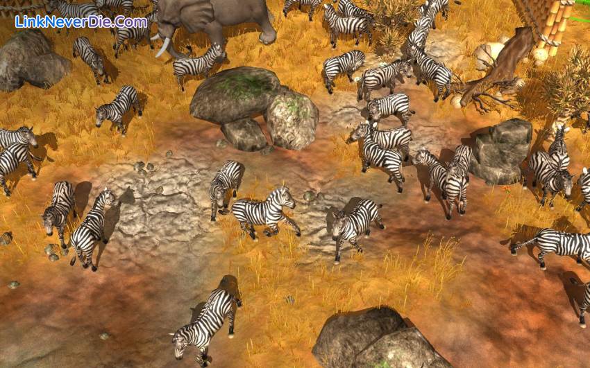 Hình ảnh trong game Wildlife Park Collection (screenshot)