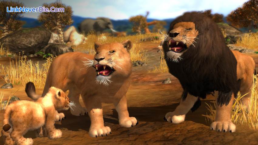 Hình ảnh trong game Wildlife Park Collection (screenshot)