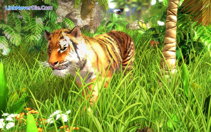 Hình ảnh trong game Wildlife Park Collection (screenshot)