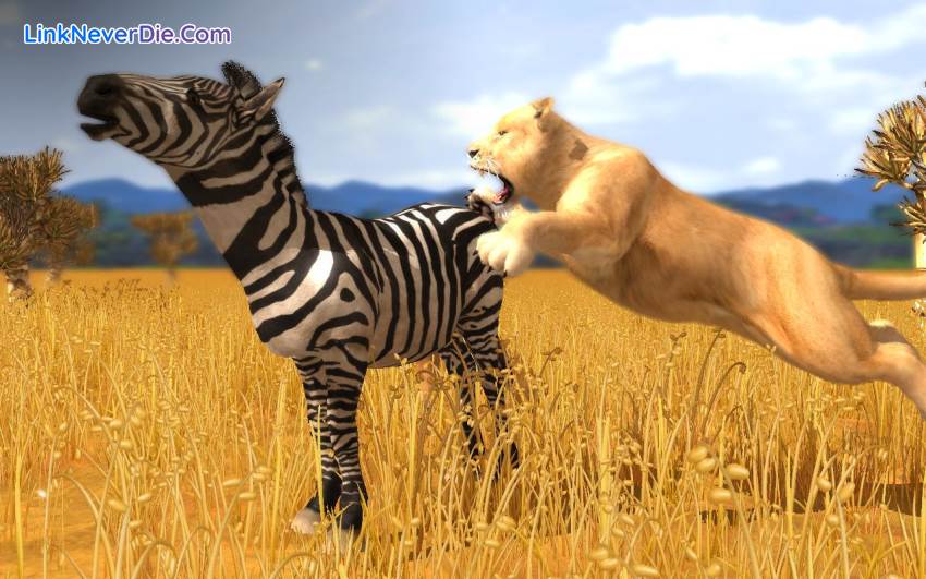 Hình ảnh trong game Wildlife Park Collection (screenshot)