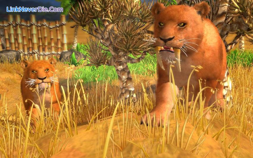 Hình ảnh trong game Wildlife Park Collection (screenshot)