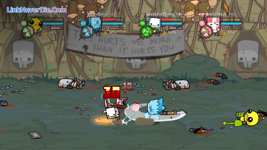 Hình ảnh trong game Castle Crashers (screenshot)