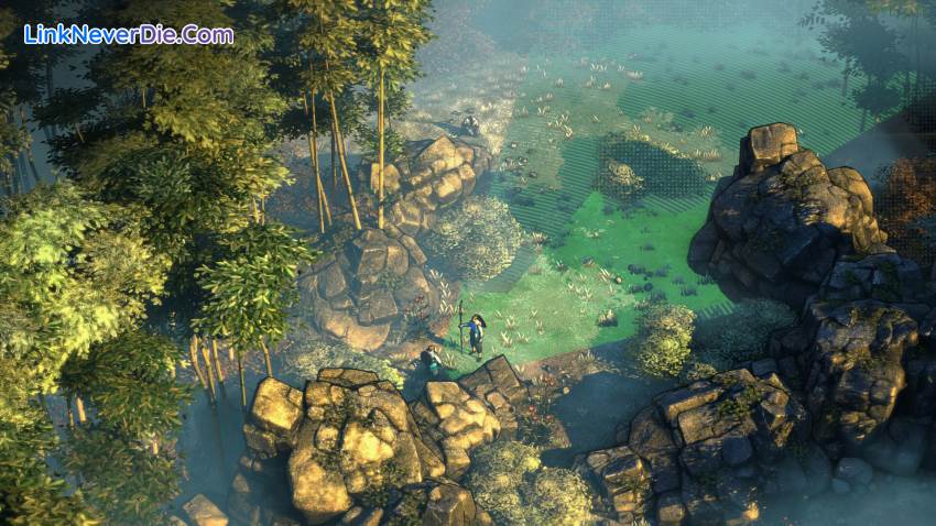 Hình ảnh trong game Shadow Tactics: Blades of the Shogun (screenshot)